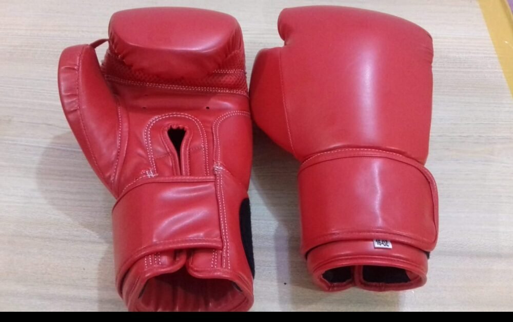 Sparring Boxing Gloves | Red Hook & Loop | Premium Training & Kickboxing Gloves