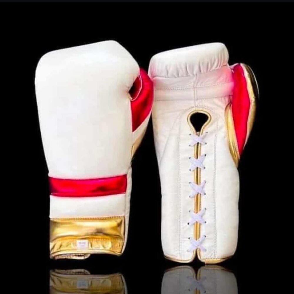 Premium Lace-Up Boxing Gloves | Custom OEM & Private Label Manufacturer